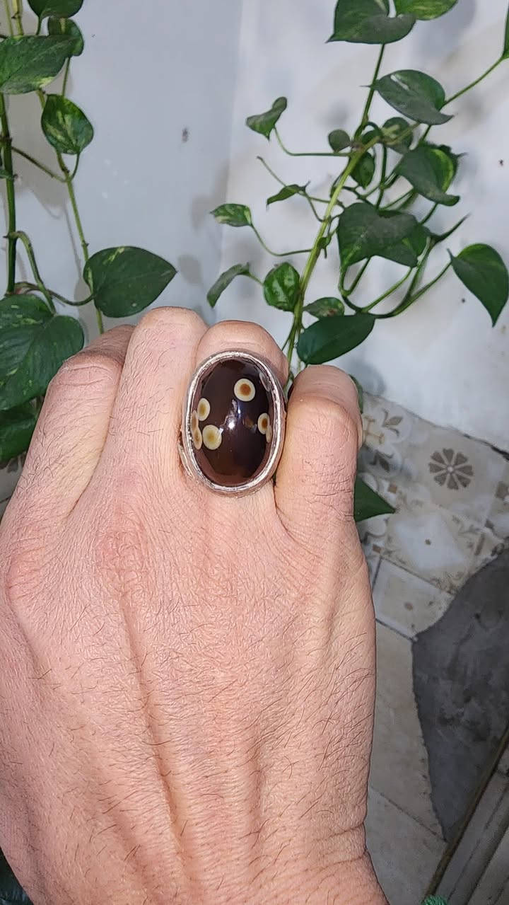 سليماني قديم هندي سعر ٦٠ الف ما اروس ولا بيع حجر تمام اخوان قفل سعره ٦٠ الف توصيل هم


**إذا كنت صاحب هذا الإعلان وتريد حذفه لأي سبب، رجاءا أرسل رسالة إلى الدعم الفني**