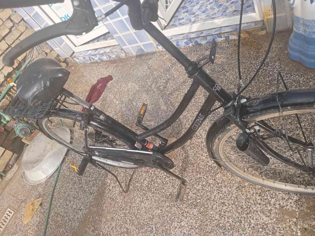 سلام عليكم باسكل للبيع حجم 26 بريكات ثنين شغالات باسكل خفيف حيل لسعر 75 وبي مجال


**إذا كنت صاحب هذا الإعلان وتريد حذفه لأي سبب، رجاءا أرسل رسالة إلى الدعم الفني**