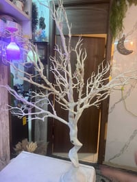 ٨ قطع • مستعجلة