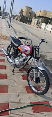 كلك ٥٠٠ • برغي • سوگ الشيوخ