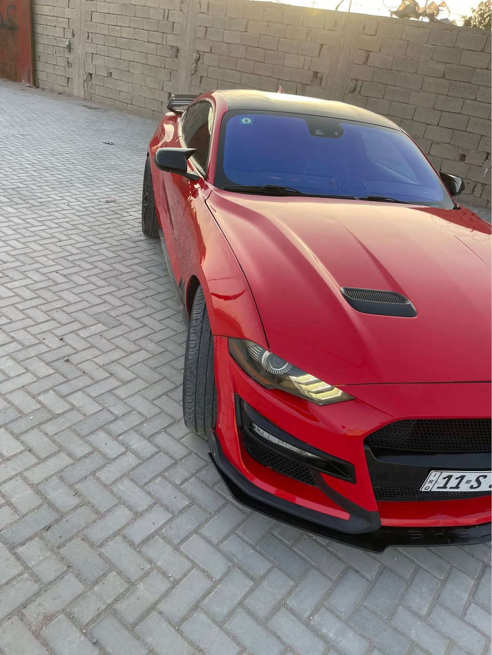 سلام عليكم موستنك 2021 
اللون احمر ناري مميز
رقم بغداد تحويل ثاني يوم 
موصفات السيارة :
كشنات جلد شفتات ستيرن 
انضمه قيادة 
تحكم ستيرن عام
دخول ذاتي 
ترحيب مميز
محرك ايكو بوست 
السيارة كلشي عليها جديد كت كامل شيلبي من (أ_ي) حادثها بنيد وجاملق الشاصي بيه تعديل شويه 
ابيع الك 4 قطع صبغ لأن بيها تطابق الوان السعر 145 وبيها مجال بسيط 
مكاني بصرة ابي الخصيب رقمي *********** 
                                             *********** البصرة, العراق
