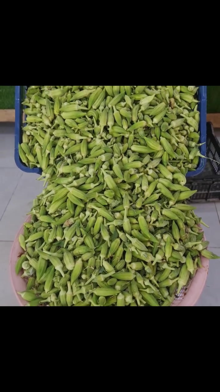 علوة الأخوين مجمع الأميرات


**إذا كنت صاحب هذا الإعلان وتريد حذفه لأي سبب، رجاءا أرسل رسالة إلى الدعم الفني**