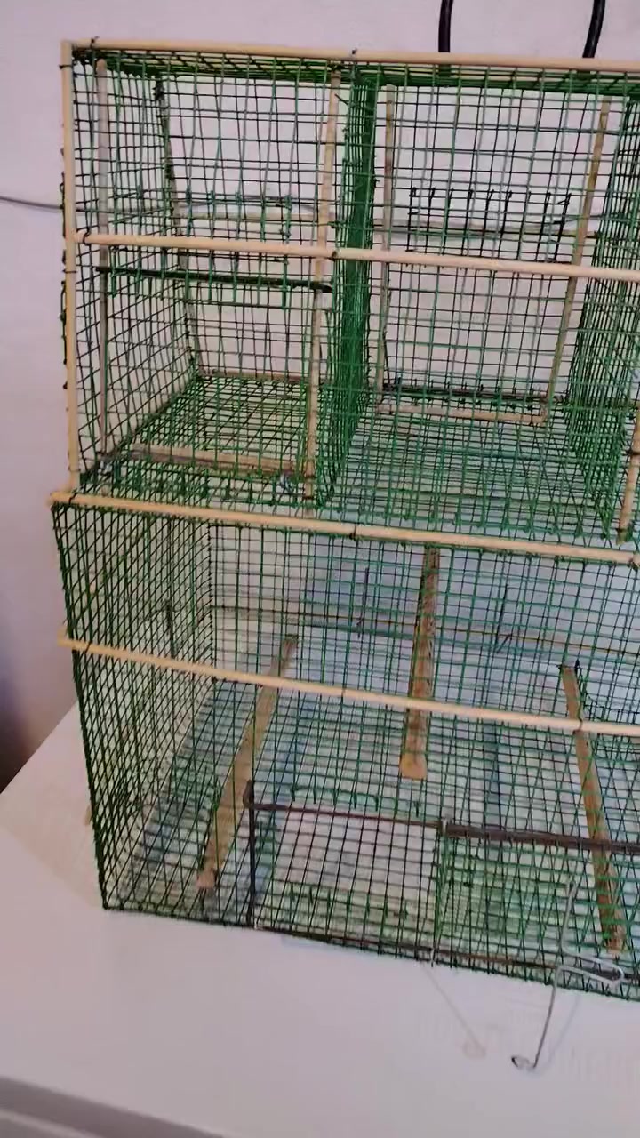 السلام عليكم٣ اقفاص للبيع واحد قفص صياد ٣ مصاييد بي سعر ٢٥ والثاني خانه سعره ١٣ والثالث قفص بلبل  سعره ١٠ بغداد حي العامل قرب دائره الكهرباء ***********
