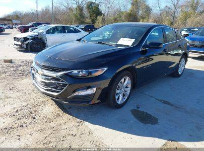 2025 CHEVROLET MALIBU FWD 1LT
اللون/اسود 
/عداد المسافة 29,625 mi
المحرك-1.5L I-4
القيادة :تعمل وتسير 
 المفتاح  :  موجود 
الحادث : كما موضح في الصور
تاريخ المزاد :  2026/1\5الساعة 4:30م
شراء و شحن السيارات من كافة المزادات الامريكية و الكندية الى العراق و الاردن و الامارات بأنسب الاسعار و اسرع الاوقات  كما توفر لكم الشركة في مقرها بالاردن صيانة السيارات باسعار مناسبة  ثم شحنها وتخليصها  الى كافة المحافظات االعراقية وكردستان  ومع ضمان لكم سرعة الانجاز بالطرق  القانونية وبناقلات عراقية كما توفر لكم الشركة خدمة بيع سياراتكم في معرضها الكاىن بالزرقاء بالمنطقة الحرة لمن يرغب  بدلك لمزيد من المعلومات يرجى زيارة مكتبنا الكائن في بغداد -صليخ_شارع ل٦٠٠/شارع التفاحه / (مكتب الرحمن )  او الاتصال على الرقم 
 ***********
