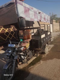 ستوته صقر • ٢٠١٩ • أوراق كامله
