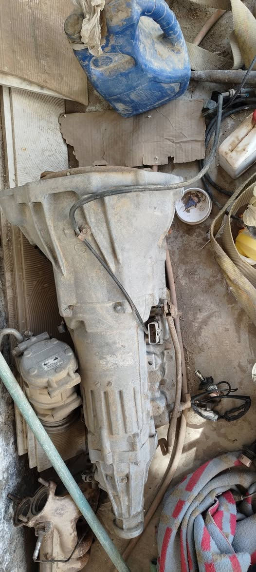 السلام عليكم
غراض ونجي
دكشن بارد ودكشن حار
سلف عدد ثنين
ديلكو   عوزه قبق
كلج زائد مروحه عدد ثنين
كوع ماي
قبق قايش التايم
داينمه   حاويه 
وكير  حاويه  عل شرط   مشدود شهر واحد فقط    الغراض كله حاويه ومشروطه    
مكاني ديوانيه       اليريدهن ابيعهن شلع    
***********
