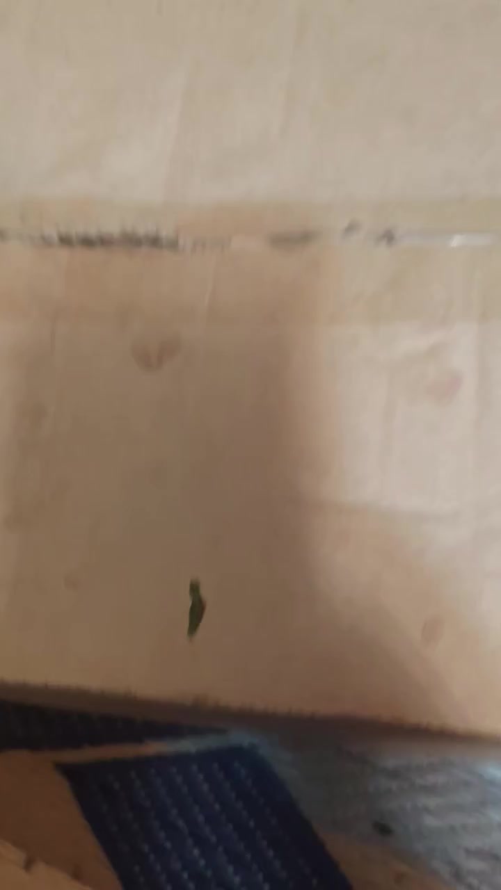 سلام عليكم مكينه لحيم دراكون جديدة غير مستخدمه مثل ما موضح بل فيديو *********** متواجد خاص واتساب مازنجر
