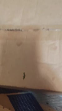 مكينه لحيم دراكون جديدة غير مستخدمه مثل ما موضح بل فيديو 07705264843 م...