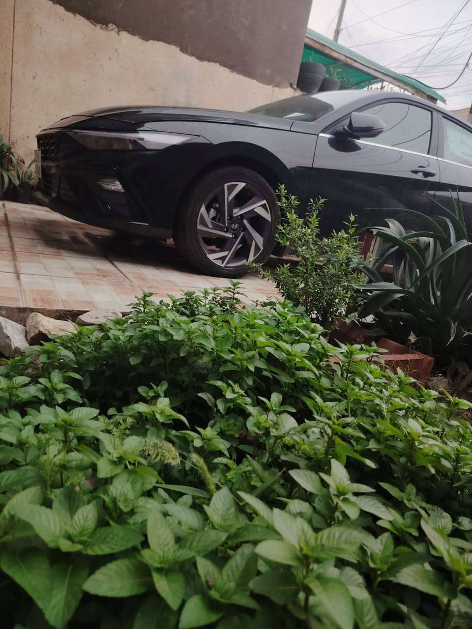 سلام عليكم
للبيع النترا هايبرد موديل 2025 دخول جديد

رقم بغداد بأسمي ماشيه 6000 لف يعني زيرو

ضرر السيارة تبديل قبق جنطه نفس اللون

جاملغ خلفي أيسر نفسه مصلح ومصبوغ

بدون ايرباك رقم شاصي وصور الحادث خاص

مواصفات السياره

تحكم استيرن جهتين

شاشه كبيره كامره دوار

تحديد مسار اشاير بالمري

كشنات تدفئه استيرن تدفئه

رادارات جانبيه وخلفي امامي

شحن السلكي لد خلفي وامامي

ابواب بصمه درحيب تبريد بيانو 

تشغل عن بعد سايد بريك كهرباء

كشنات جلد بيجي ورصاصي

بصمه فتحه

السعر 150وبيه مجال بسيط 

مكان السياره بغداد حي العامل

اتصال على هذا الرقم *********** وبي واتساب بغداد, العراق
