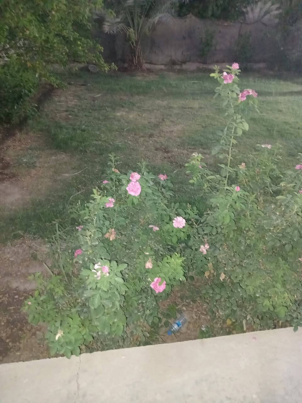 آلُـۜسـۨۚ(✋)ــِۖلُأمٌ ؏ـليۜـ(💜)ـكـۜم وݛحـٍّْـٍّْ⁽😘₎ـٍّْمهہ الًـًٍۖـٍـٍۖ(☝)ٍۖـًٍٍٍّـًٍلۖهًٍۖۂ وبـۗـۗـۗـۗـۗـۗركۧۧــۧۧۧۧۧـۗـۗ(ۗ😇)ـۗـۗاتهۂ.... الى عشاااق المساحات الكبيرة عرض خاص عـــــــقـــــــاررررر للبيــــــع طابووووو زراعي على طريق قرية ابو عصافير اول شارع عاى النهر. مساحه العقار الكلية.... 1800متر مشيد عليها دار كلش حلو ومرتب كلش متكون من غرفتين وصالة كبيرة كما موضح بلصور وكذلك مطبخ. واستقبال . للتوضيح توجد من ضمن المساحه حديقتين. امامية وخليفة.. ويوجد فيها كافة الفواكه والنعب. والورد وتجي وشوف بنفسك افضل..... السعر 185مليون وقابل للتفاوض ... . اي استفسار اتصل ***********
***********
