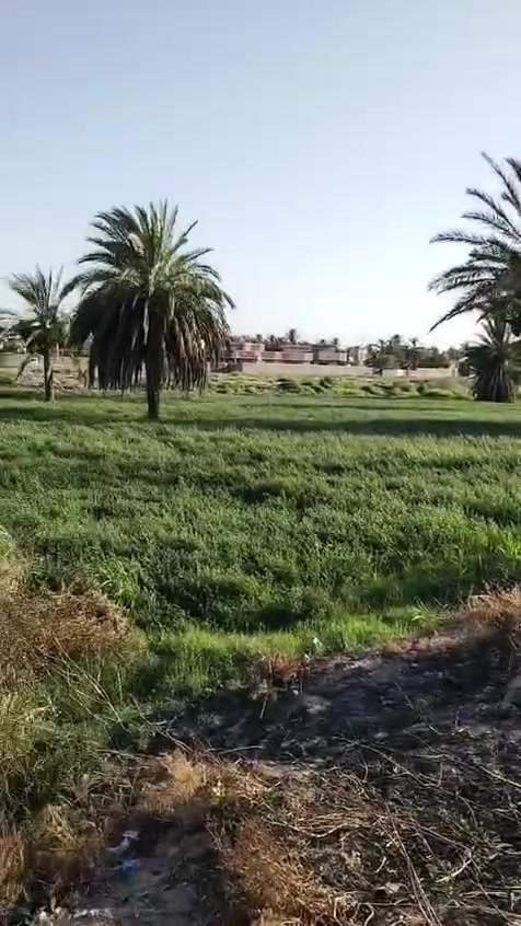 للبيع للبيع
٢ دونم تجاريات ع الشارع العام سند ٢٥ طابو زراعي تحويل بسم المشتري ع طابو بعقوبة خدمات كاملة 
الواجهه ٢٥٠
نزال ٢٠
العنوان طريق محمد سكران خان بني سعد للاستفسار مكتب الواحة للوساطة العقارية ***********
