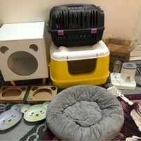 اغراض قطط • بيت خشب • اربيل روشنبيري