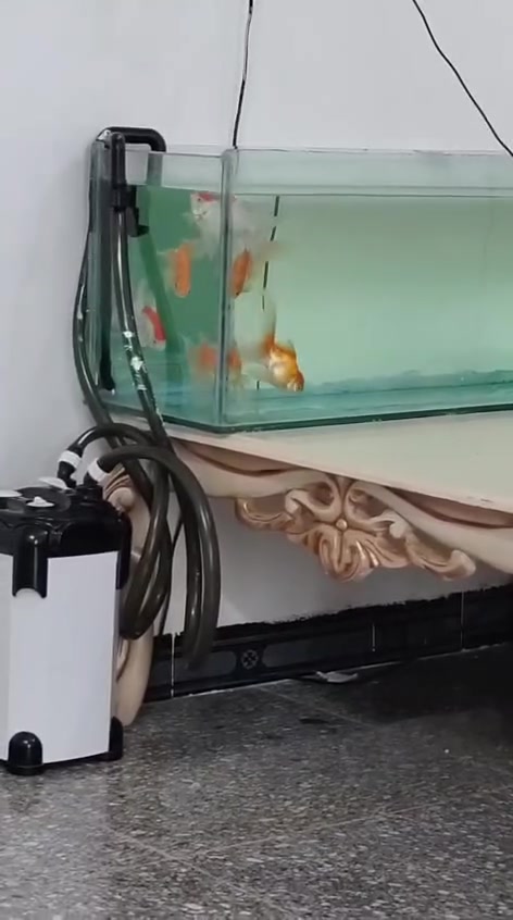 السلام عليكم عندي حوض سمج ويا فلتر  للبيع ب٦٥ وبي مجال


**إذا كنت صاحب هذا الإعلان وتريد حذفه لأي سبب، رجاءا أرسل رسالة إلى الدعم الفني**