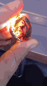 عمي شوف الجمال والدلال حبايب كلبي قبل لتجي تعامل ركزلي زين بلتصوير الر...