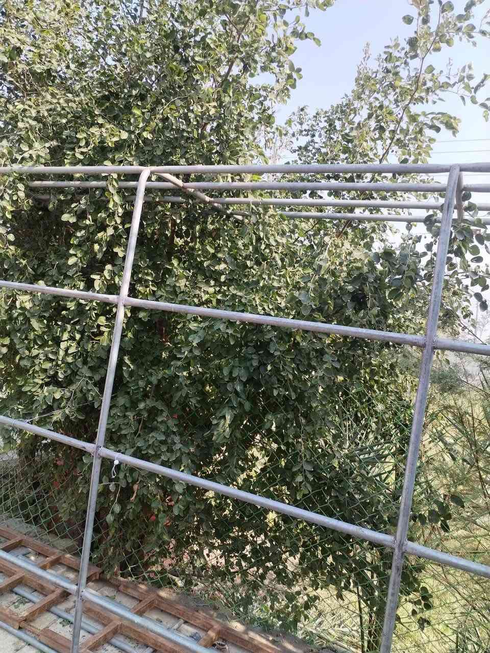 يالله قفص مال كنتر جديد ما مشدود على سياره ابد
سعر ٣٠٠  مكاني عماره ***********
