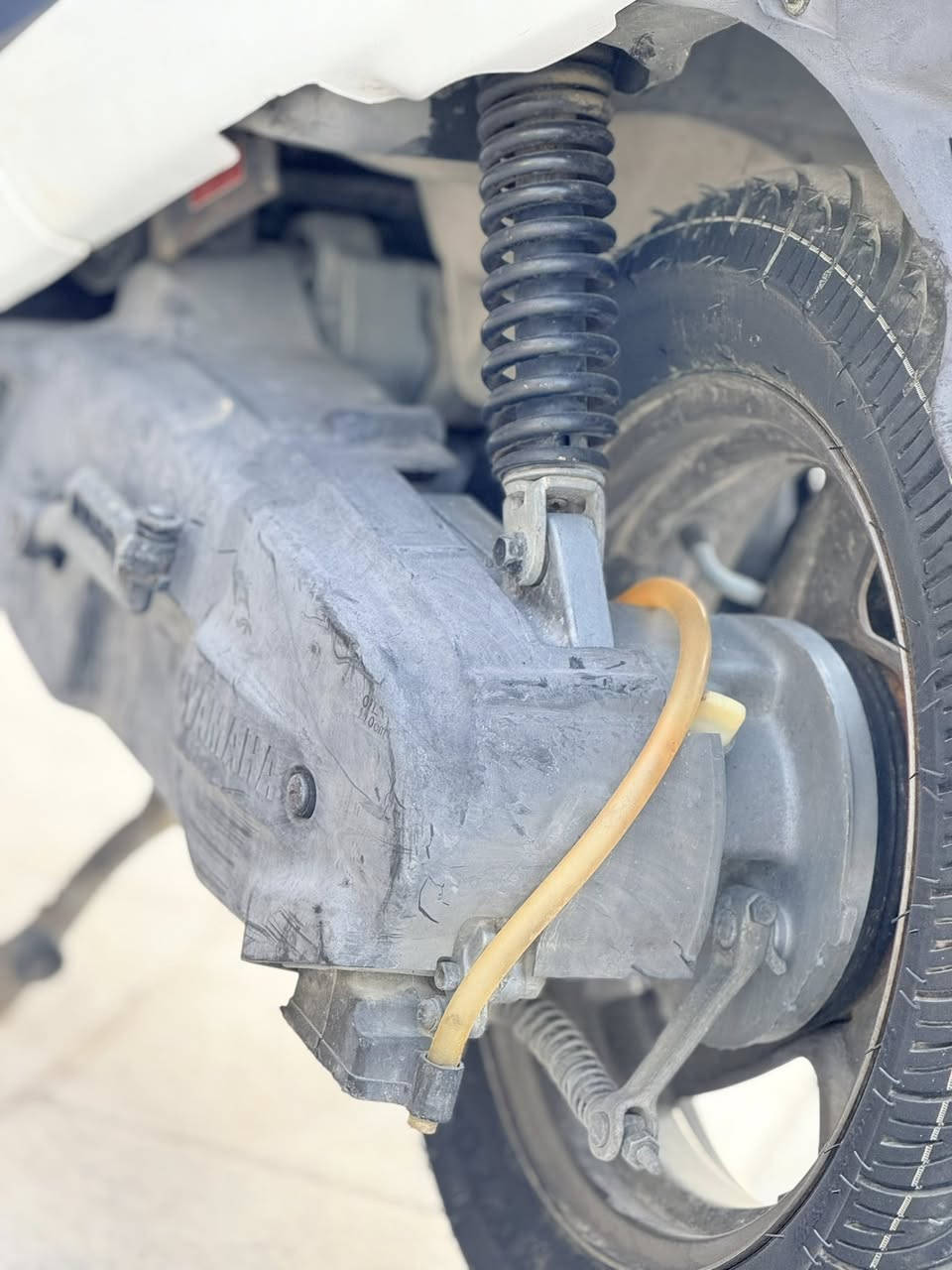 اكزز فحل للبيع جديده 
حاويه مكانها سوق الشيوخ 
شراي يراسلني 
او يتصل 
***********
