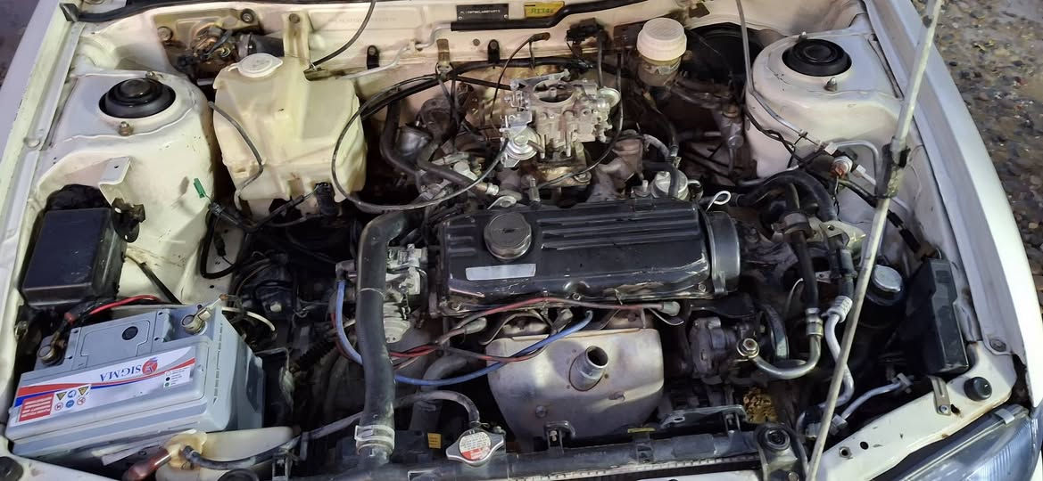 ​🚘 برتون 2004 للبيع 🚡
( السعر 52  و مراوس هم يرهم ) 
(جاهزة للمستخدم)
(​المواصفات والتفاصيل:) 
​المحرك: بحالة ممتازة وجاهز تماماً.
​التبريد: شغال وبكفاءة عالية (ثلج) 
يوجد صبغ في البونيد (الغطاء الأمامي) 
( ​يوجد تعديل بارد في الباب خلف السائق  ) 
​باقي السيارة سليمة وبحالة جيدة جداً السيارة (متعوب عليها لا تحتاج لأي مصاريف إضافية)
الاستفسار اتصل على رقم 
***********
