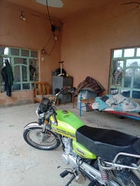 تايكر سونك • موديل 23 • واسط نعمانيه