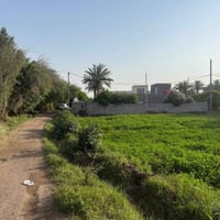 طابو زراعي • الزبيدية • ١٨ دونم