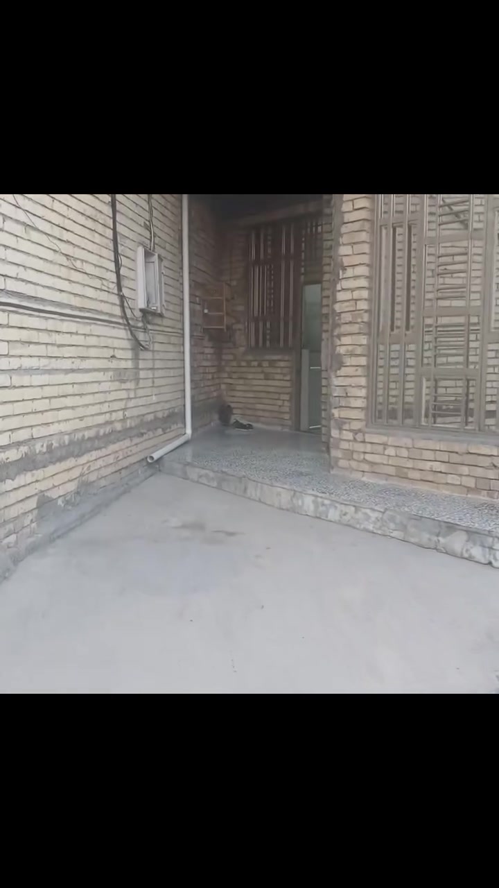 بيت زراعي للبيع
مساحه ١٣٠م
البيت ٢ طابق
استقبال 
مطبخ 
صالة
خدمات
٥ غرف نوم
 
السعر١١٠ بي مجال 
العنوان /كماليه بستان
***********
