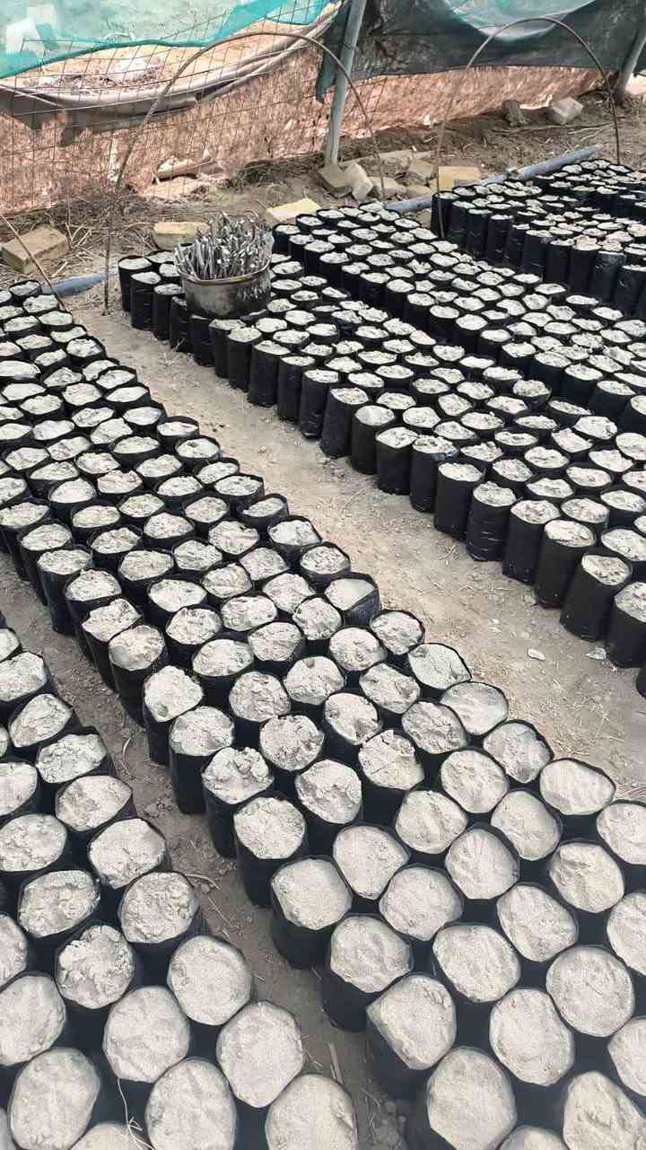 مشتل الروان الشطره, ذي قار


**إذا كنت صاحب هذا الإعلان وتريد حذفه لأي سبب، رجاءا أرسل رسالة إلى الدعم الفني**