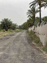 3دوانم للبيع طابو سند 25 تقطيع حسب الطلب تباع دونم او دونمين او ثلاثة ...