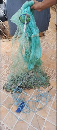 07846344259.        راعيه انامكلف