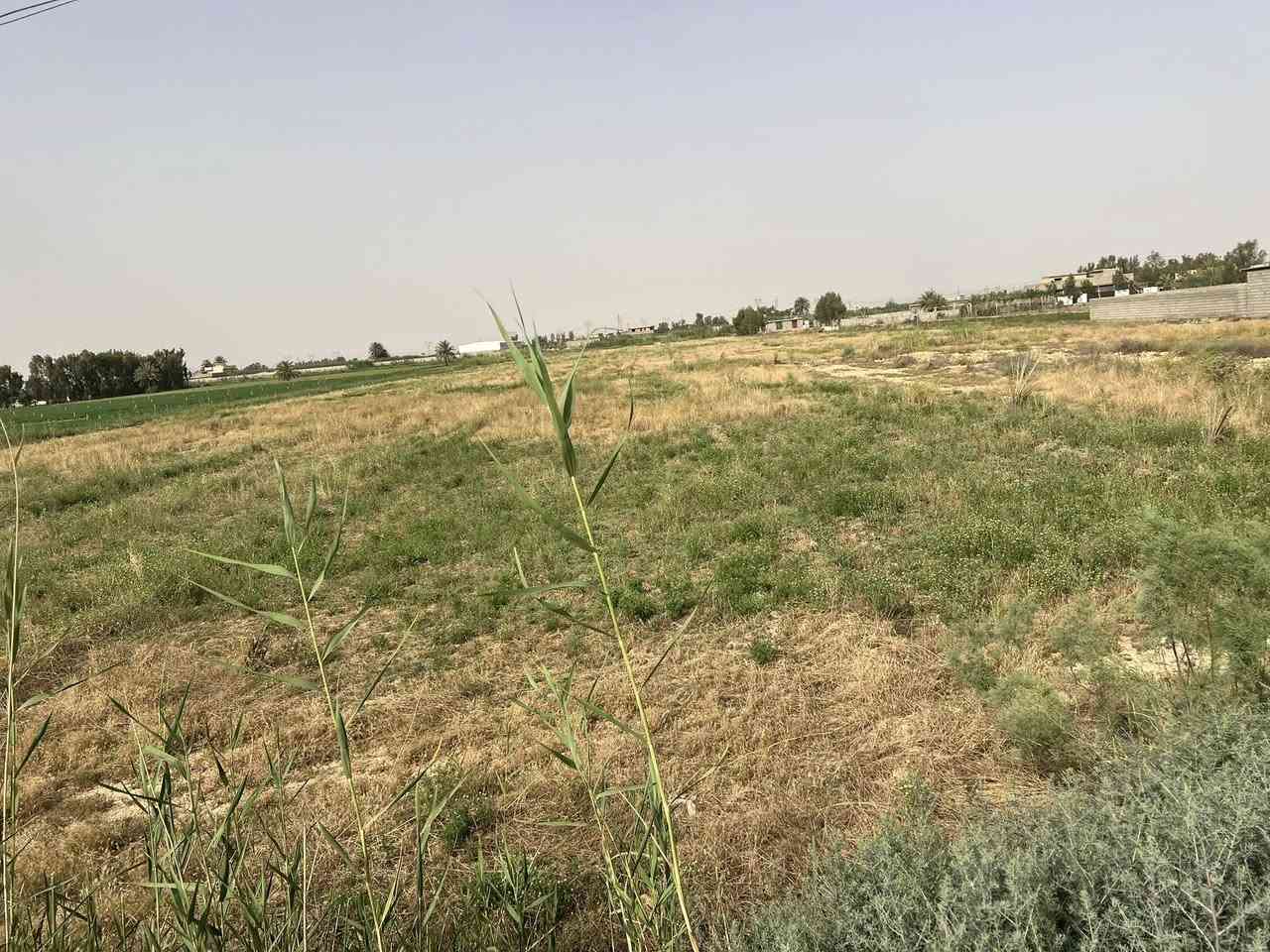 قطعة أرض للبيع عقد 35مساحه 10  دونم واجه 100 ونزال 250 خدمات كامله كهرباء وماء حلو  مكان بغداد تقاطع النهروان شارع السياحي  ***********
