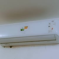 سبلت • جديد • طنين