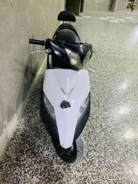 ماكس ثعلب • بداية • بدون اوراق