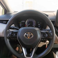 كورلا صيني • ٢٠٢٣ • بغداد ابو غريب