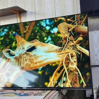 ٦٥بوصة • فور كي • ستلايت داخلي