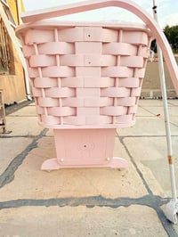 كاروك • وردي • حجم متوسط