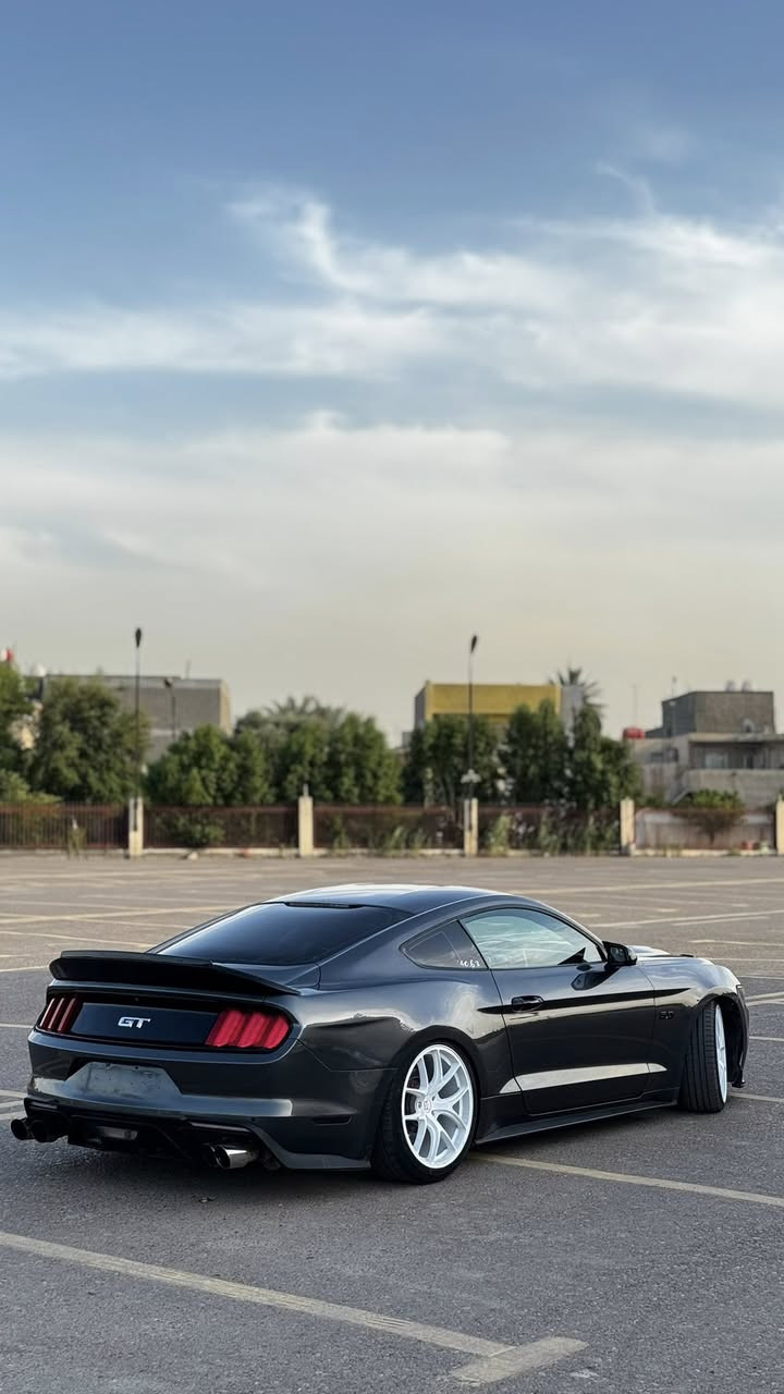 حبايب فورد موستنك Gt 5.0 
كير عادي 🕹️
2017 ماشيه 49 
صبغ اربع قطع بدون ايرباك 
السياره جاهزه على اخر حبه من صدر من ميكانيك من شكل مكينه شاده قبل سبوع بعده بلظمان 
كير كلج عنابير كله جديد 
اكسل 3.55 وكاله 
داخل جديد وكله شغال 
عليه شباك cs هود cs اصلي شاشه Sync 3 
دركه كاربون اصليه 
كزوز روش مع اكتف كزوز 
كشنات كهرباء 
السعر (148)
جاهزه للاخير رقم سليمانيه الجديد ومميز تريد تحويل او وكاله مكاني الغزاليه ***********
