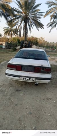 برنس • ١٩٩٥ • رقم بابل