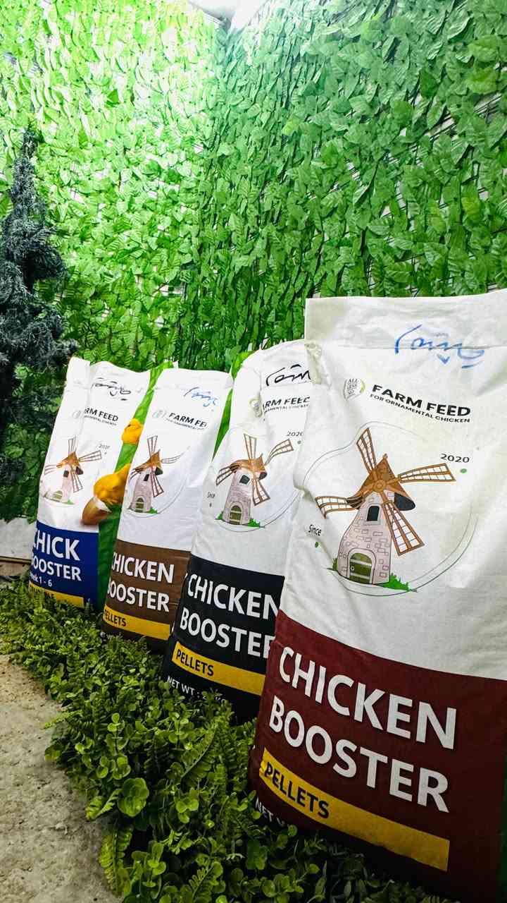 وفرنا الكم اعلاف المزرعة لدجاج  ☘️
بالاكياس الجديدة 😁🦾💪
اعلاف ممتازة ورصينة ٥ سنوات من الجهد والتعب
تتوفر الاعلاف بأربع مراحل :0️⃣1️⃣2️⃣3️⃣
0️⃣🐣مرحلة صفر من عمر يوم الى شهر ونص 
1️⃣🐥مرحلة اولى من عمر شهر ونص الى ٣ اشهر 
2️⃣🐔مرحلة ثانية من ٣ اشهر الى ٦ اشهر 
3️⃣🐓مرحلة ثالثة للدجاج البياض 

وزن الكيس ٢٠ كيلو بسعر ٢٥ الف 
المكان🌍 #الرميثه يوجد توصيل السماوه 
الرقم 📲📞: ***********
