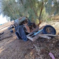 مكينة جاهزة • 4 بستم • ديالى بلد روز