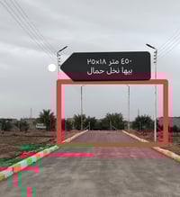 ٤٥٠م • أكثر من ١٥ نخلة • الديوانية قرب عمارات الزيتون