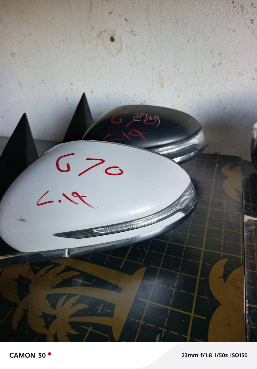 جنسيس
G70 2019 مرآة جانبيه 
G80  كفر قبق جنطة 
*********** واتساب 
توصيل لكل المحفظات
