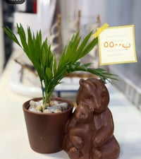 كمية محدودة • توصيل مجاني • ديكور وحدائق