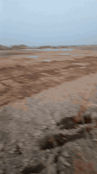 دونم طابو زراعي للبيع يحتوي على جميع الخدمات يصلح سكن او استثمار  0771...