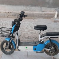 دراجة شحن • حجم ١٤ • موديل ٢٠٢٥