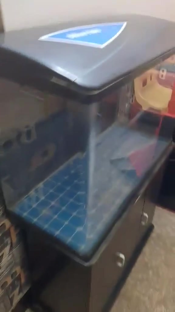 حوض سمك جدا نظيف اناره داخليه  ميز كامل حجم مترا و٣٠ عرض  للبيع مستعجل سعرا 125


**إذا كنت صاحب هذا الإعلان وتريد حذفه لأي سبب، رجاءا أرسل رسالة إلى الدعم الفني**