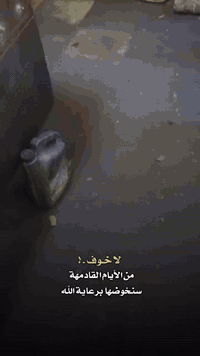 اللهم صل على محمد وال محمد 
ورشه ذي قار لتجفيت كافت انوع البمات ونوزلات 
توجد مواد حتياطيه كافت انواع واسعار مناسبه 
عنوان ناصريه الحي صناعي البلوك الخامس 
*********** سجاد
