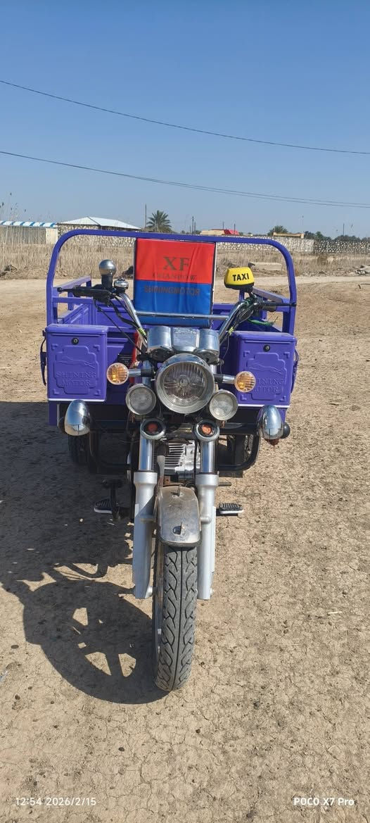 ستوته لبيع وكيل بلال مكفوله أصولي ***********/***********
