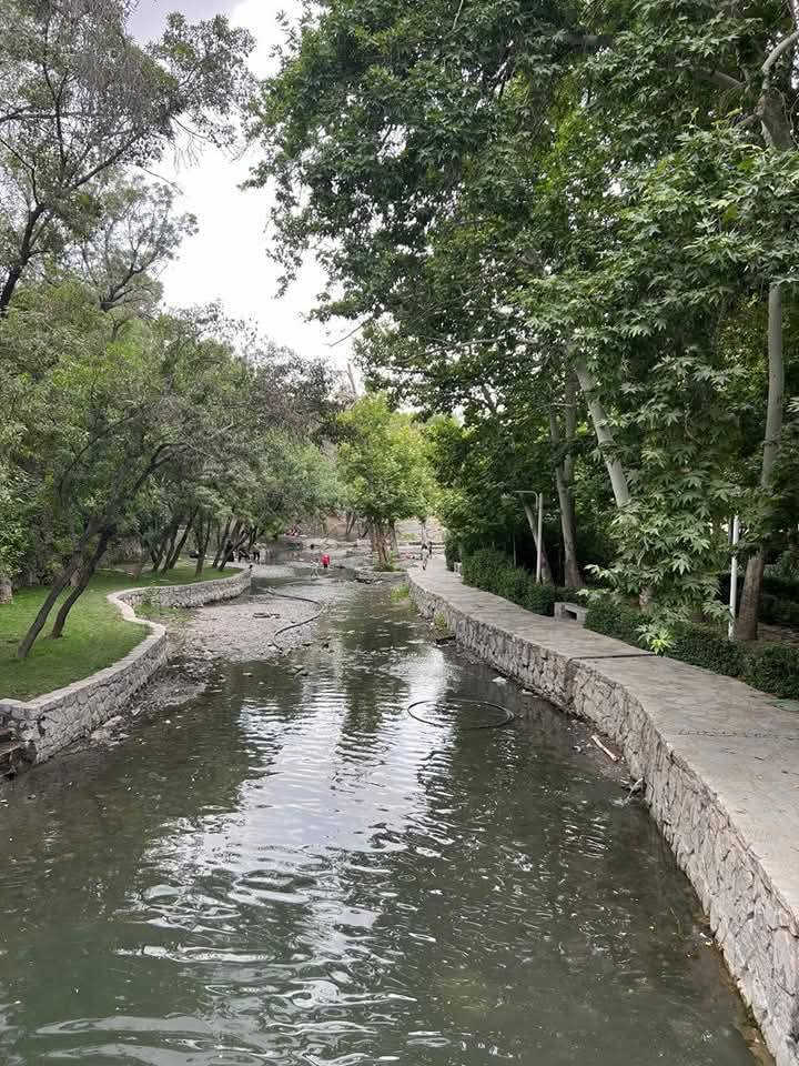عرض عطلة حجز مقعدك  تاريخ الرحله والسفر 30 /5 
شامل جميع الخدمات 180 بلاش بلاش  الف مع الطعام  نقل وسياحيه وزيارات وفنادق 12 يوم مو 10 أيام 12 يوم   سارع بلحجز 
#تعلن# #حملة ام  #البنين  #السفر #والسياحه   واسط قضاء الزبيديه  الزيارة العتبات المقدسه 
‏‎🌲برنامج ايران بري🌲🇮🇷🇮🇷🌲 باصات vip حديثة باص 25 راكب رجال الأعمال 
‏‎يشمل ( قم   ) 🎄(مشهد)🌲 السكن شارع الإمام  رضا قريب الحرم 🎄( نيشابور ) 🎄  🎄 (  سياحي و ديني وعلاجي  ) 🎄
زيارات قم السيدة معصومه 
بيت النور أربعين علويه جامع جمكران

‏(  ١١)يوم  😲😲

  😍😍  يوجد خصم ١٠% الى العوائل اكثر من ٣ نفرات 
الأطفال من ٥ سنوات وجوه مجاني سارع بلحجز
‏
‏‎البرنامج يشمل 📢🔉🔉
‏‎♣️ باصات سياحية حديثة 🚍
‏‎♣️ السكن فنادق ممتازة 🏡سياحه مترجمه مجاني المسافر 
قم ( بيت النور - مسجد جمكران - البقاء في قم ٣ ايام 
البقاء في مشهد ٥ ايام 
مشهد ( ياسر وناصر - خواجة 
٣وجبات طعام في مشهد بوفي مفتوح اكل درجه ممتازه
 - مناحل العسل -  خواجه مراد-  ) 
السياحة  (مدينة الألعاب-حديقة الحيوانات--المدينة المائية  ) حديقة باخ مشهد اكبر حديقه في مشهد 
 
‏‎#ملاحظة
‏‎الغرف ثنائي  -  و- ثلاثي-و-   رباعي  -  بدون اي اضافة
يعنى غرفتك خاصة
-----------الحجز والاستفسار ع الأرقام
***********واتساب 
***********
يوجد نظام الأقساط 
موعد الرحله عطلة 
سارعوا سارعوا بلحجز العنوان واسط   قضاء الزبيديه شارع المدارس  النقل من الزبيديه الى الزبيديه كل هذا 180 الف نستقبل من جميع محافظة واسط ونجيك الحد بيتك محافظات نستقبل توجد عدنه فروع في المحافظات 
🚌🚎🚍🏃🏃🏃
#الجميع @إشارة
