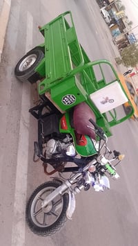 ستوته • ٢٠٢٢ • مكفوله