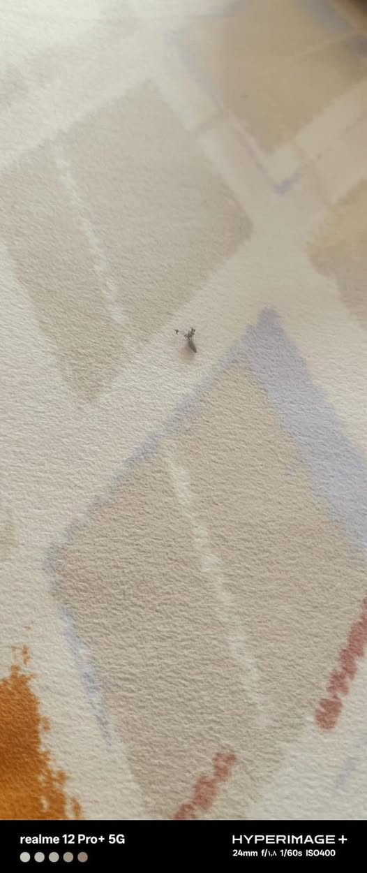 هُواة ألتصوير 
أيفون 12 برو ماكس ماستر ذاكرة 256 بطارية76 مع عدسة عين ألسمكة لتصوير أدق التفاصيل مثل مامبين بالصورة
السعر 450 
***********
