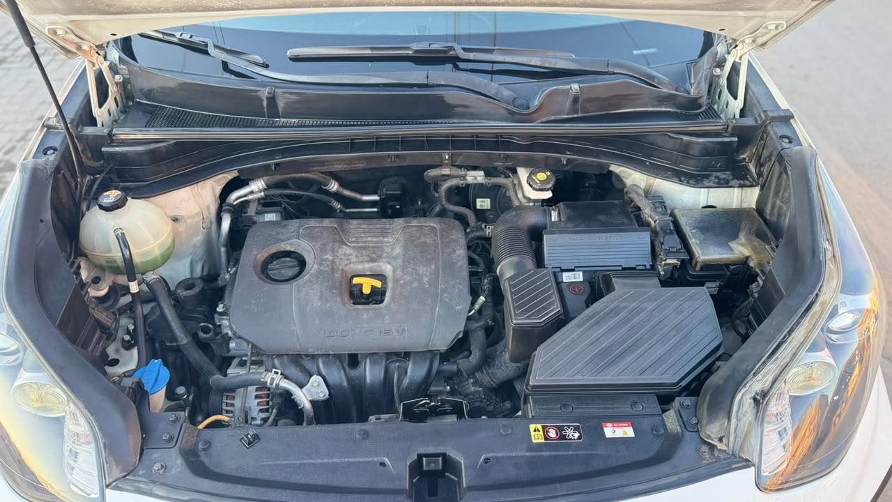 للبيع او مراوس بK4حسب قناعه

سبورتج موديل ١٩ شكل ال٢٠ خليجي شركة الدوليه مكفوله كفاله عامه عدى بارد بسيط جدا بلهلال الجاملغ الخلفي 
المواصفات 
سقف بنوراما 
مكينه ٢٠٠٠
فول تحكمات 
اشاير بلمري 
شاشه جبيره 
بصمه 
لد نهاري 
حساسات خلفيه 
اشارة ترحيب 
وبعد باقي المواصفات المعروفة 
السياره ماشيه ٤٥ حقيقي سبير منازل مدوشمه عام 
سياره جاهزه كل نقص مابيه تخم تاير جديد

***********
