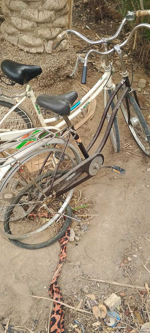 بايسكلات للبيع العددد 3 بيع مستعجل سعر الواحد 30الف قفل جدد كربلاء وهذا رقمي ***********
